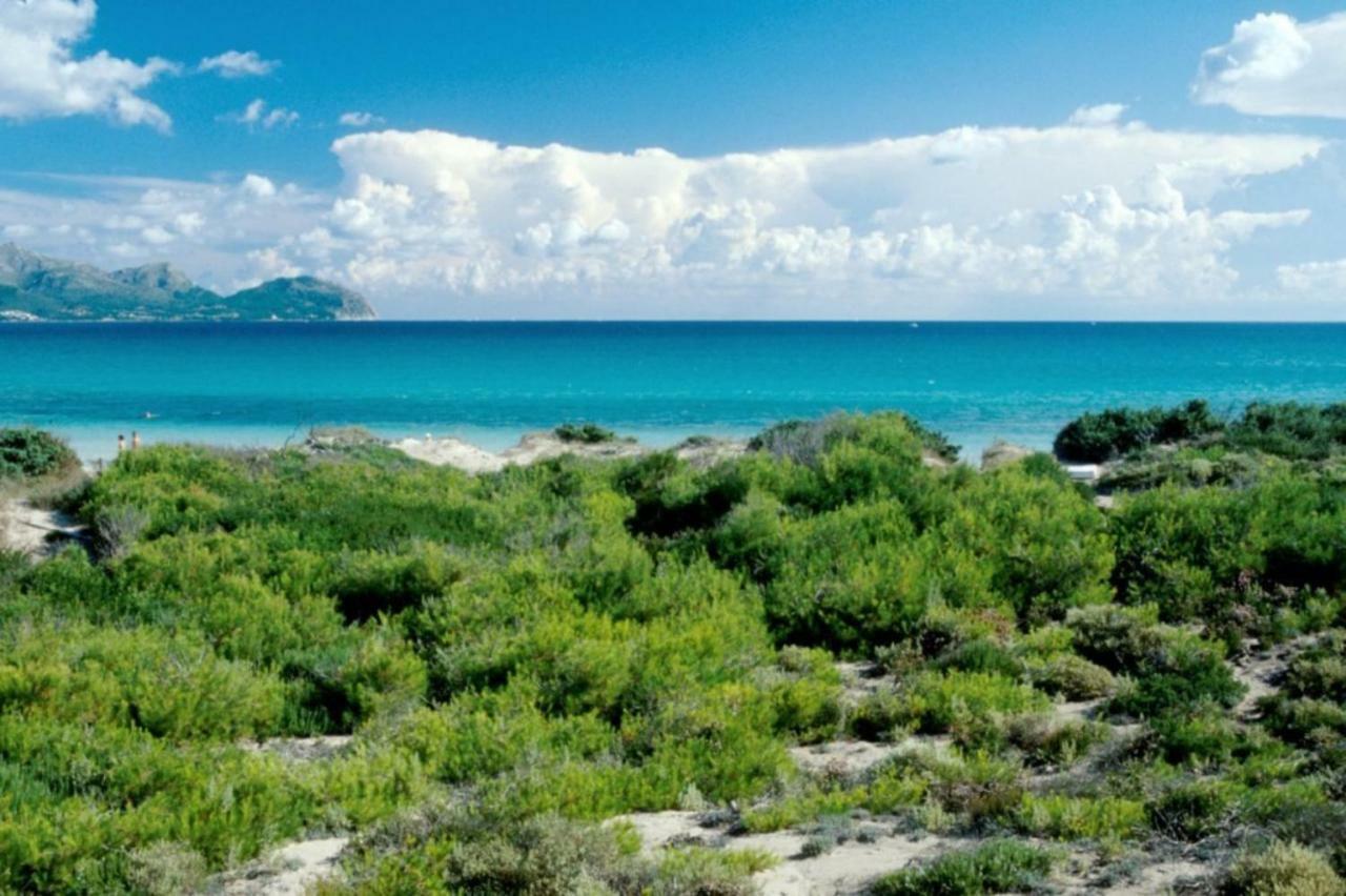 Curling * Port de Alcudia (Mallorca)
